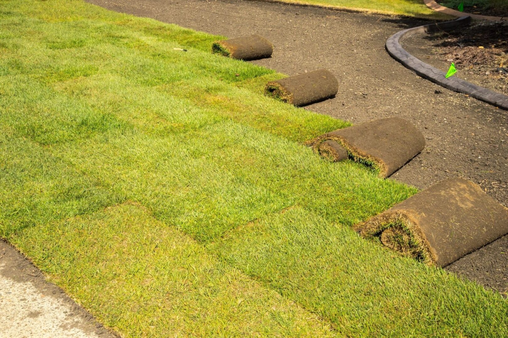 A close up of grass rolls laying on the ground